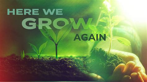 Here we grow again! Bridges of .